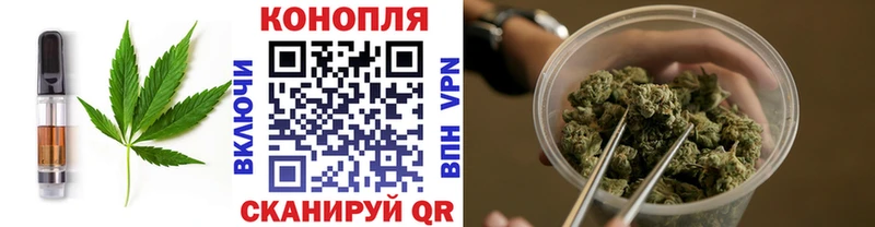 Купить где  Фрязино  Еда ТГК марихуана 