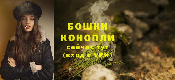 гидропоника Бронницы