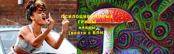 марки lsd Бородино