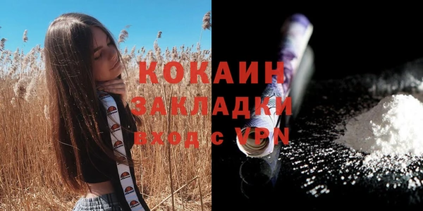 марки lsd Бородино