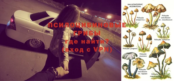 гидропоника Бронницы